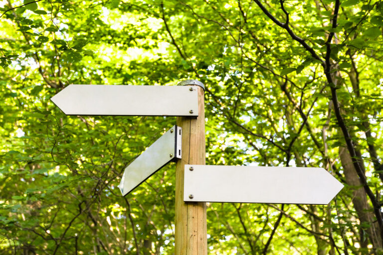 Wegweiser mit mehreren Richtungen im Wald