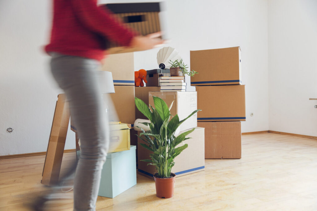 Umzugskartons und eine Pflanze in einer neuen Wohnung